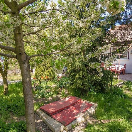 Ferienwohnung Old House Vama Veche Exterior foto