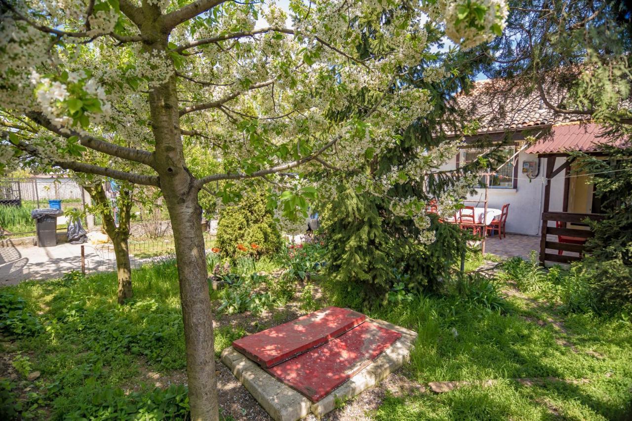 Ferienwohnung Old House Vama Veche Exterior foto